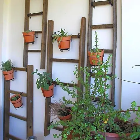 Hotel Le Terrazze Balice Mariotto